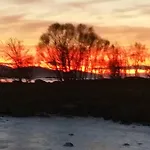 Borghildstua Romslig Med Panoramautsikt Mot Havet Og Lofotfjellene Nyaraló