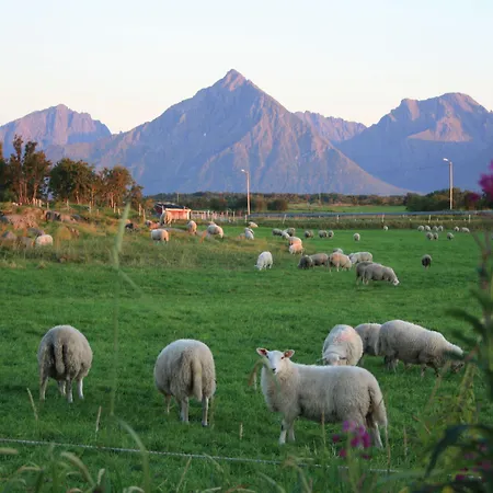 Borghildstua Romslig Med Panoramautsikt Mot Havet Og Lofotfjellene Casa vacanze