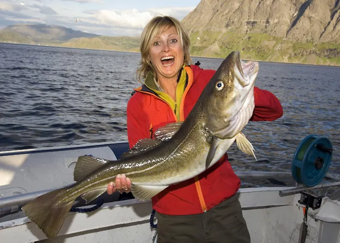 Borghildstua Romslig Med Panoramautsikt Mot Havet Og Lofotfjellene