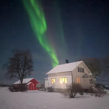 Borghildstua Romslig Med Panoramautsikt Mot Havet Og Lofotfjellene 度假居