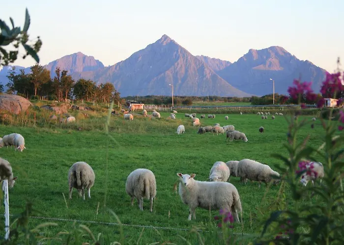 Vakantiehuis Borghildstua Romslig Med Panoramautsikt Mot Havet Og Lofotfjellene Melbu