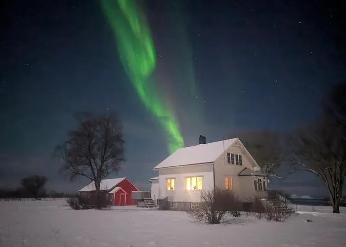 Borghildstua Romslig Med Panoramautsikt Mot Havet Og Lofotfjellene 度假居
